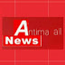 Antima all news