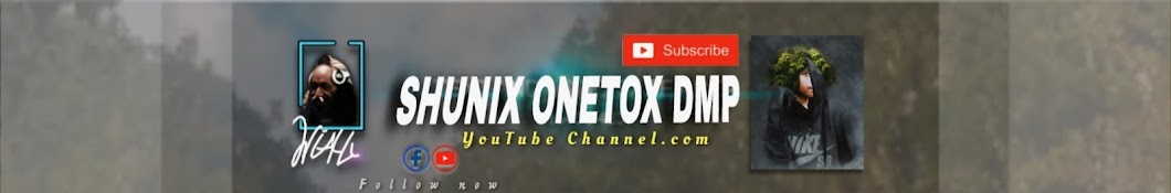 SHUNIX ONETOX DMP