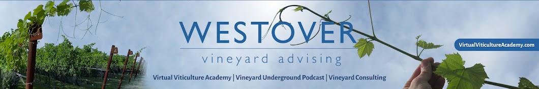 Westover Vineyard Advising