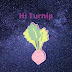 logo Elder Turnip