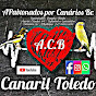 Canaril Toledo