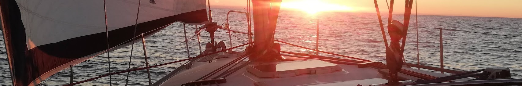 sailingbee