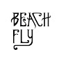 Beach Fly