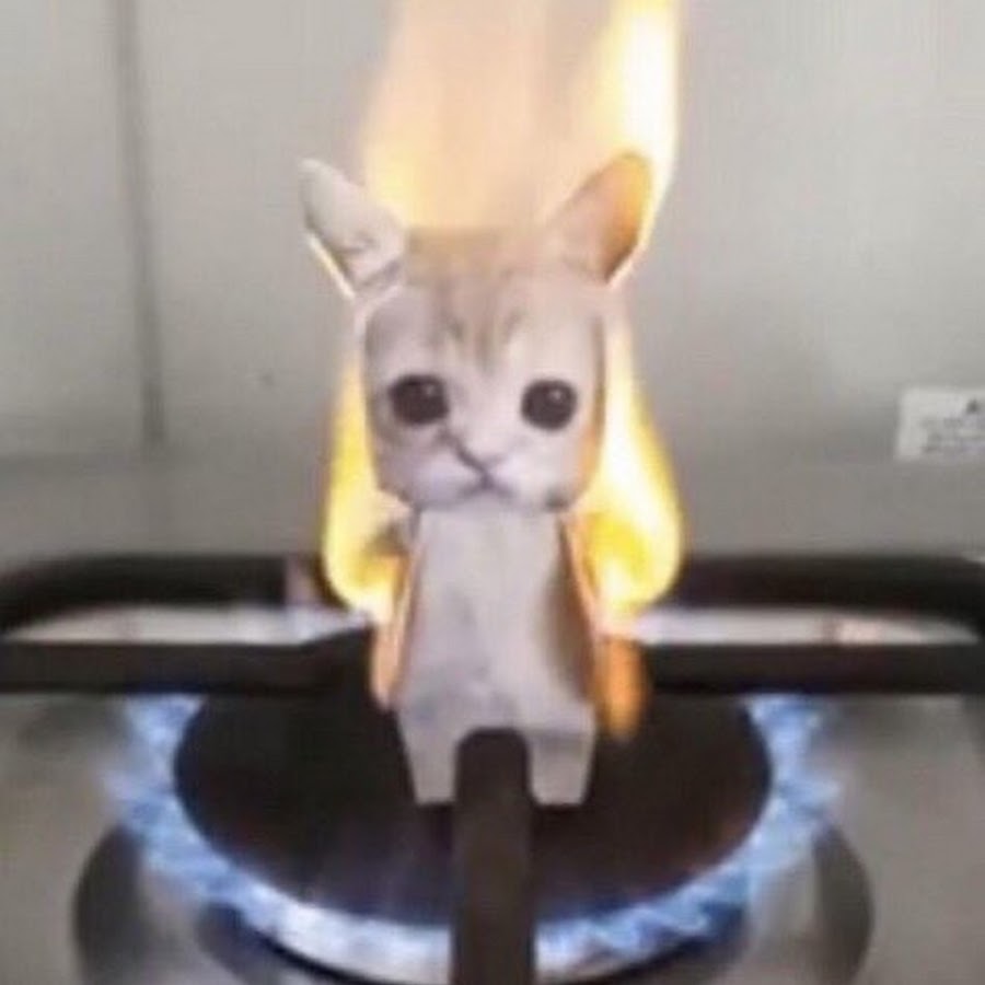 Burning cat