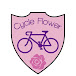 Cycle Flower