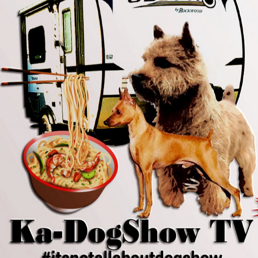 KaDogShow TV (it's NOT all about dogshow)