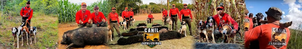 Canil dos javalis