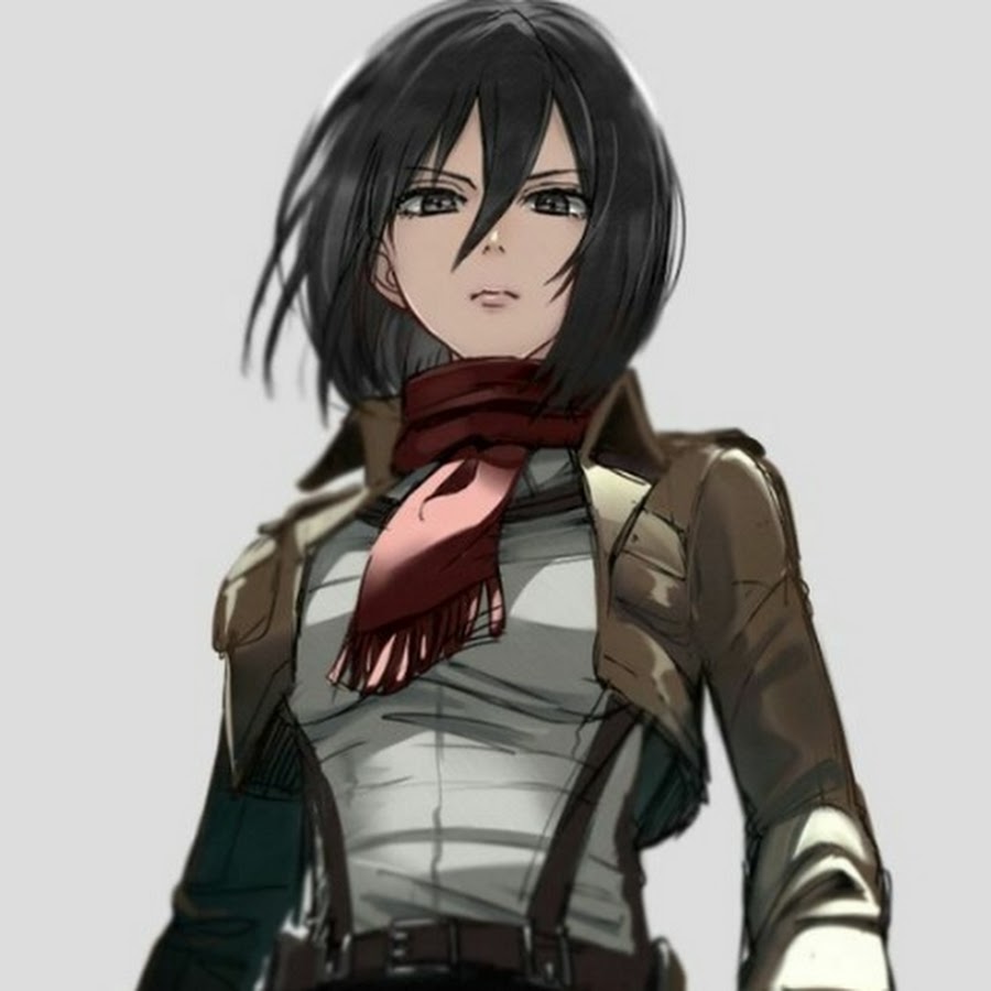 Mikasa ackerman steam profile фото 49