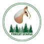 Forest Stable