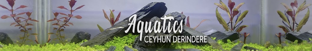 Ceyhun Derindere Aquatics