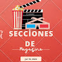 Secciones de magazine 