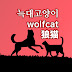 늑대고양이wolfcat