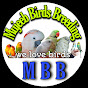 Mujeeb Birds Breeding