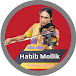 Habib mollik