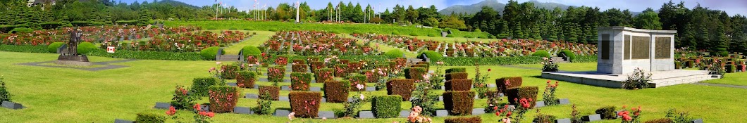 -UN Memorial Cemetery in Korea-유엔기념공원