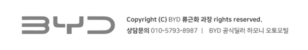 BYD 에이스 류과장