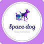 Relaxing Music | Space Dog