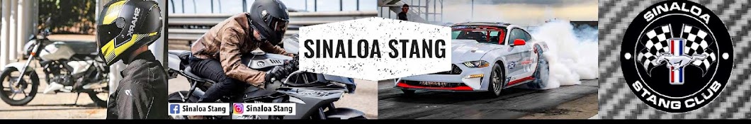 Sinaloa Stang