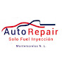 Auto Repair solo fuel inyeccion