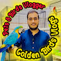 Golden Birds Vlogs