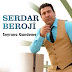 Serdar Beroji - Topic