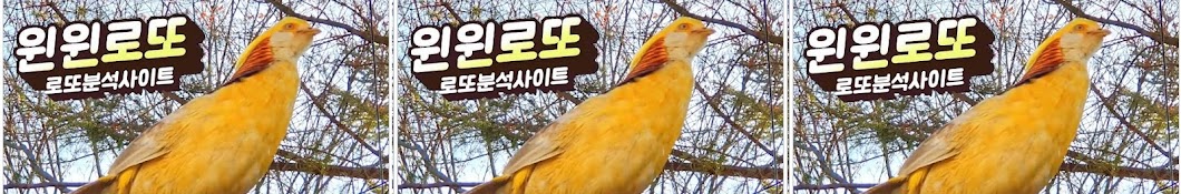 윈윈로또