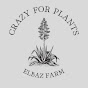 ELBAZ FARM VIDEO