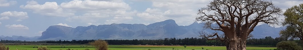 tiaan gildenhuys Banner