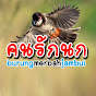 คนรักนก burung merbah jambul