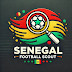 Senegal Scout 