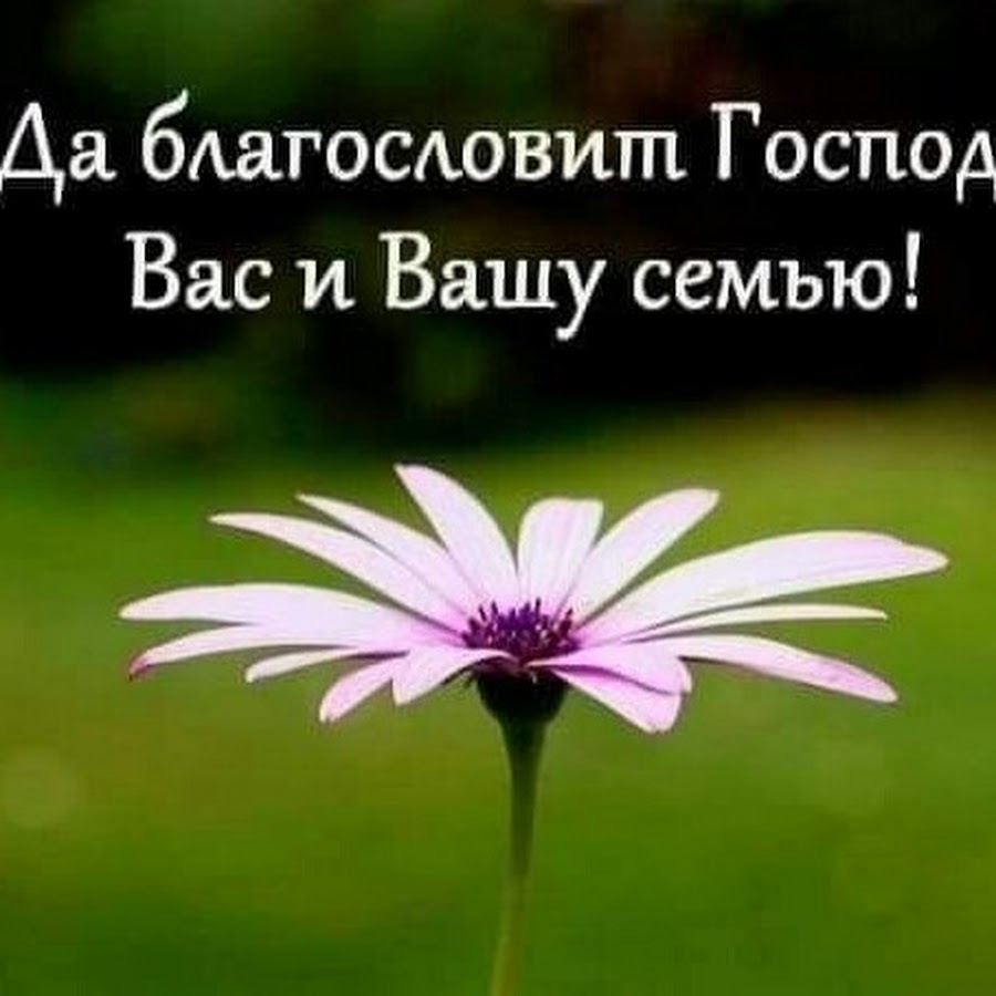 Благословение картинки с добрым. Благослови Господь. Благослови тебя Бог. Да благословит Господь. Бланослави ВВС Гисподь.