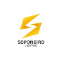 Sopongiro Lighting Official