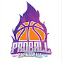 PROBALL BASKETBALL ACADEMY 