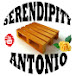 Serendipity Anthony