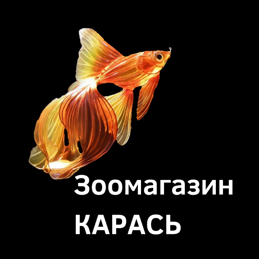 Рыбки краснодар. Зоомагазин карась Краснодар. Подарочный сертификат в магазин аквариумных рыбок в Краснодаре.