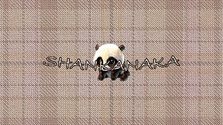 Заставка Ютуб-канала SHANKANAKA