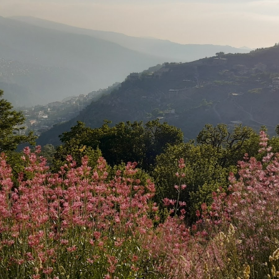 Lebanons nature and village life 