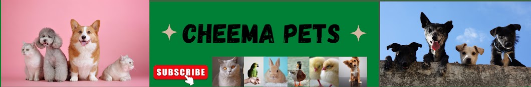 CheemA Pets