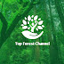 logo Top Forest Channel