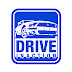 DriveInAction