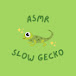 ASMR Slow Gecko