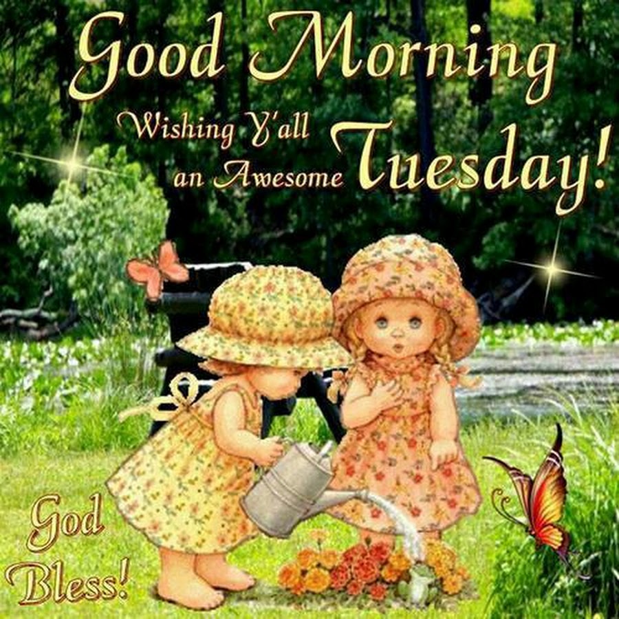 Tuesday morning. Good morning Tuesday. Good morning вторник. Happy Tuesday morning. Good morning Happy Tuesday.