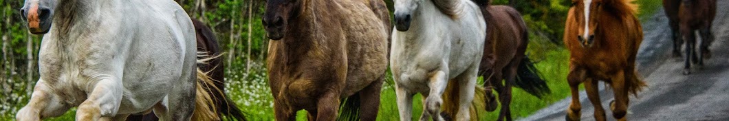 みんなの競馬反応集