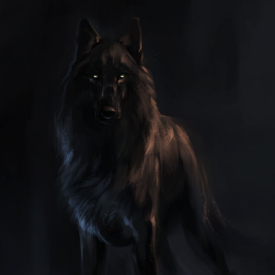 Благородный черный пес. Блэк Вульф волчица. Черный волк. Черная волчица оборотень.