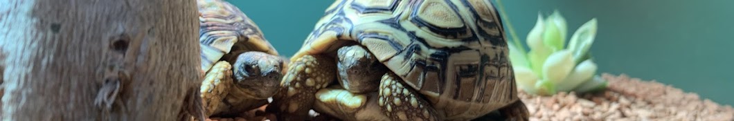 ざっきーと動物飼育