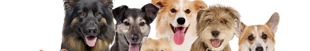 Naturally Happy Dogs Banner