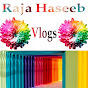 Rajahaseeb vlogs