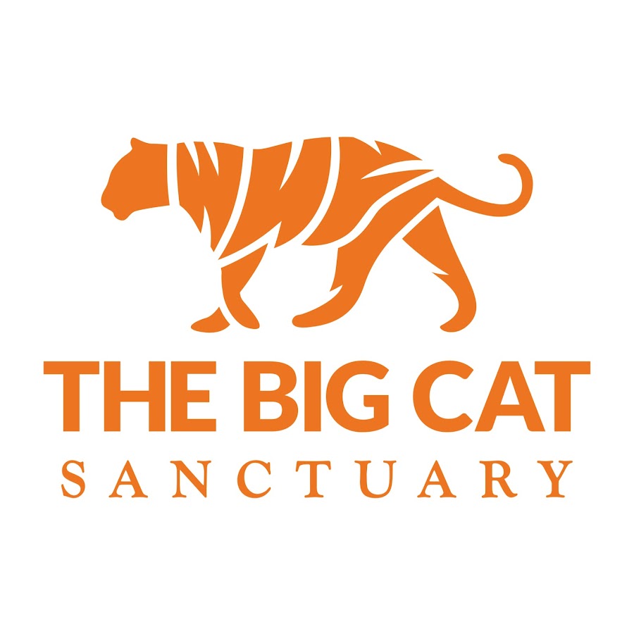 The Big Cat Sanctuary @TheBigCatSanctuaryUK