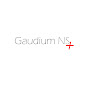 Gaudium Gymnastics