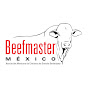 Beefmaster México